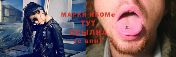 амф Горняк