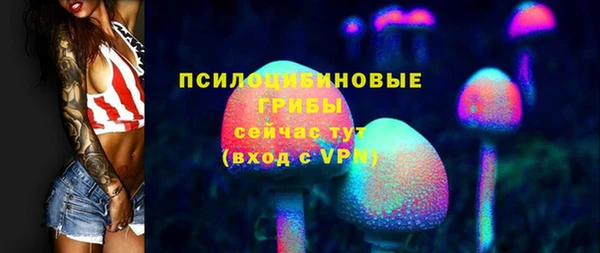 амф Горняк