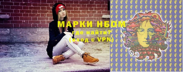 амф Горняк