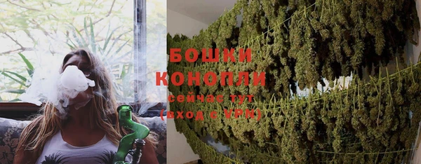 амф Горняк