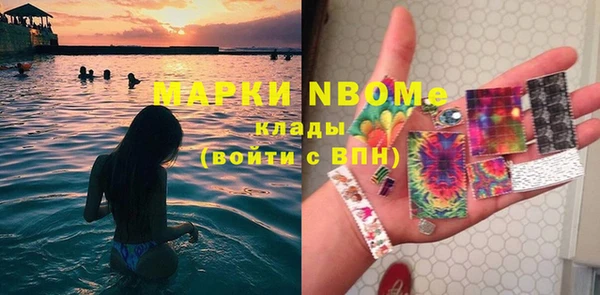 амф Горняк