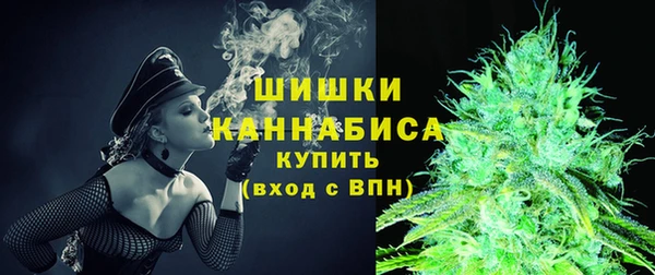 амф Горняк