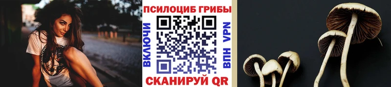 Псилоцибиновые грибы мицелий  Михайлов 